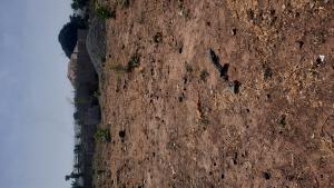 4 bedroom Residential Land For Sale Guzape By Gilmor Construction Abuja Guzape Abuja Phase 1 