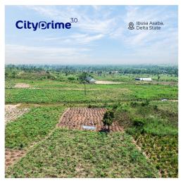 Residential Land For Sale City Prime Estate Located At Igbuzo Selling Fast Oshimili Delta
