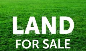 Land For Sale Agbede Ikorodu Ikorodu Lagos