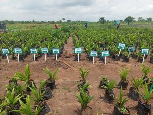 Mixed use Land For Sale Abeokuta Ogun