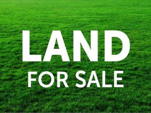 Residential Land For Sale Olowora Ojodu Lagos