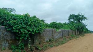 Residential Land For Sale Temu Village Off Ikorodu Epe Road Epe Lagos