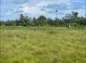 Residential Land For Sale Ibeju-Lekki Lagos