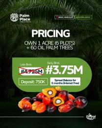Commercial Land For Sale Palm Place Ibeshe Ogun State Ogun Ogun area 