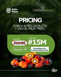 Commercial Land For Sale Palm Place Ibeshe Ogun State Ogun Ogun area 