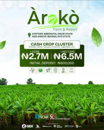 Commercial Land For Sale Aroko Farm Abeokuta Cash Crops Cluster Adatan Abeokuta Ogun