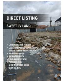 Land For Sale Devine Estate Ago Palace Road Ago Palace Isolo Lagos