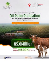 Commercial Land For Sale Palm Rich Estate Phase 5 Iwo Road Ibadan Oyo