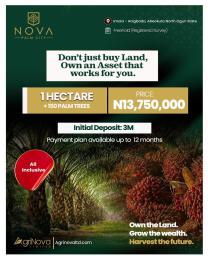 Commercial Land For Sale Nova Palm City Imala Anigbado Abeokuta North Lga Ogun State Abeokuta Ogun