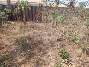 Residential Land For Sale Elebu Akala Express Ibadan Akala Express Ibadan Oyo