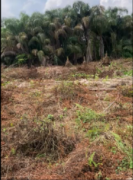 Mixed use Land For Sale Ajayi Akpata Estate Sangotedo Ajah Lagos Mixed use Land For Sale Ajayi Akpata Estate Sangotedo Ajah Lagos