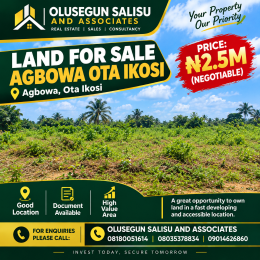 Mixed use Land For Sale Agbowa Ota Ikosi Ikorodu Lagos