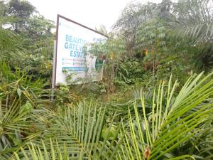 Residential Land For Sale Dangote Seaport Proposes International Airport Dangote Refinery Ilu Oba Eleran Igbe Ibeju-Lekki Lagos