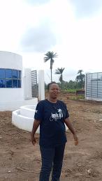Residential Land For Sale Ibile City & Resort Imota Ikorodu Ikorodu Lagos Residential Land For Sale Ibile City & Resort Imota Ikorodu Ikorodu Lagos