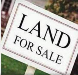 Residential Land For Sale Cedar Close,osbourne Ph2 ,ikoyi Lagos Ikoyi Lagos Residential Land For Sale Cedar Close,osbourne Ph2 ,ikoyi Lagos Ikoyi Lagos