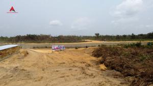 Residential Land For Sale The Magnificent Estate Adjacent Lekki International Airport Eleran Igbe Ibeju-Lekki Lagos Residential Land For Sale The Magnificent Estate Adjacent Lekki International Airport Eleran Igbe Ibeju-Lekki Lagos