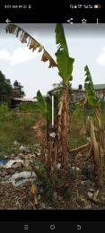 Mixed use Land For Sale Behind Abijo Primary School Majek Sangotedo Lagos