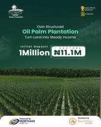 Commercial Land For Sale Palmrich Farm Phase 3 Extension Opeji Odeda Abeokuta Ogun Ogun area 