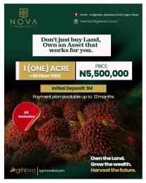 Commercial Land For Sale Nova Palm City Imala Anigbado Abeokuta North Lga Ogun State Ogun Ogun area 