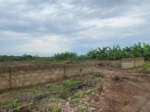Mixed use Land For Sale Igbodu Lagos Extension Ogun