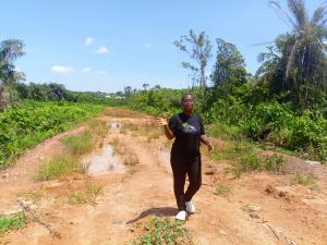 Residential Land For Sale The Bright City Odo Egiri Epe Epe Lagos Residential Land For Sale The Bright City Odo Egiri Epe Epe Lagos