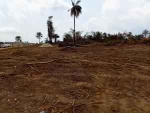 Residential Land For Sale Ibile City & Resort Imota Ikorodu Ogun Ogun area  Residential Land For Sale Ibile City & Resort Imota Ikorodu Ogun Ogun area