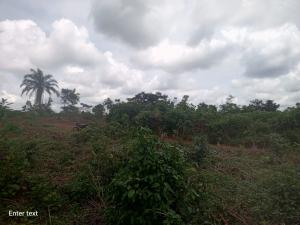 Land For Sale Lagos Extension Ogun Land For Sale Lagos Extension Ogun