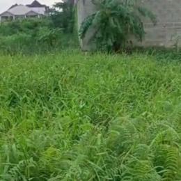 Residential Land For Sale Omole Phase 1 Ojodu Lagos