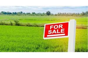 Land For Sale Seaside Estate Badore Ajah Lagos