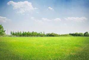 Mixed use Land For Sale Igbo Efon, Lekki Igbo Efon Lekki Lagos