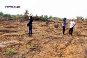 Land For Sale Elele Abara Port Harcourt Rivers