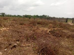 Residential Land For Sale Ciza Prime Located At Ilara With Good Road Network Epe Lagos