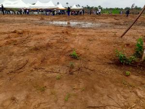 Residential Land For Sale The Pineapples Estate Agbowa Ikorodu Ogun Ogun area  Residential Land For Sale The Pineapples Estate Agbowa Ikorodu Ogun Ogun area