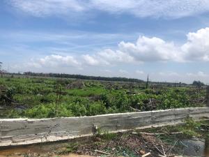 Residential Land For Sale 2 Minutes Drive To Sunshine Park And Garden Estate Akure Ondo