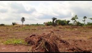 Mixed use Land For Sale City Of Refuse Phase 1 By P Zion Owerri Ngor-Okpala Imo Mixed use Land For Sale City Of Refuse Phase 1 By P Zion Owerri Ngor-Okpala Imo