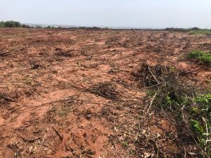 Residential Land For Sale Regent City Estate Free Trade Zone Ibeju-Lekki Lagos Residential Land For Sale Regent City Estate Free Trade Zone Ibeju-Lekki Lagos