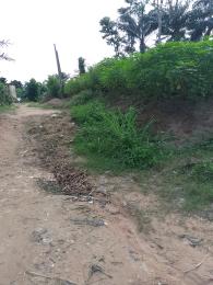 Land For Sale Ibusa Asaba Delta Land For Sale Ibusa Asaba Delta