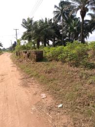 Land For Sale Close To Azagba Ogwashi Junction Oshimili North Delta Land For Sale Close To Azagba Ogwashi Junction Oshimili North Delta