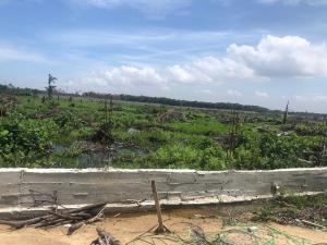 Residential Land For Sale Erido Community Odeomi Eleko Ibeju-Lekki Lagos