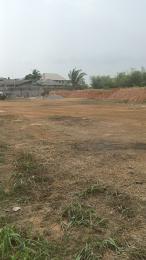 Mixed use Land For Sale Monastery Road Sangotedo Lagos