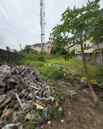 Land For Sale Lekki Phase 1 Lagos