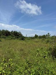 Residential Land For Sale Amen Estate Phase 1 Eleko Ibeju-Lekki Lagos
