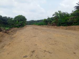 Residential Land For Sale Itunu Hills Estate Idera Scheme Eleko Ibeju Lekki Eleko Ibeju-Lekki Lagos Residential Land For Sale Itunu Hills Estate Idera Scheme Eleko Ibeju Lekki Eleko Ibeju-Lekki Lagos
