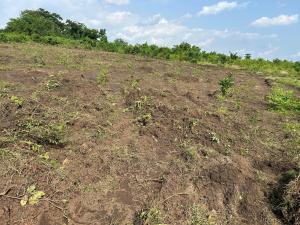 Residential Land For Sale Ara's Court Located At Lagbin Ido Ologuneru Ibadan Oyo Residential Land For Sale Ara's Court Located At Lagbin Ido Ologuneru Ibadan Oyo