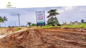 Industrial Land For Sale Lekki Avana Signature Resort Palm Estate Selling On Prelaunch Prices Eleran Igbe Ibeju-Lekki Lagos