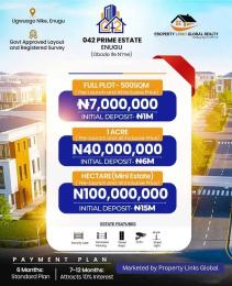 Residential Land For Sale 042 Prime Estate Located At Ugwuogo Nike (obodo Ife Nme) Enugu Area 