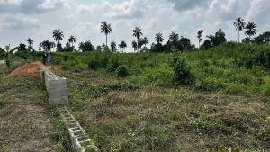 Residential Land For Sale Elegant City Estate Located In A Serene Neighborhood 100% Dry Topography Ijebu Ode Ogun