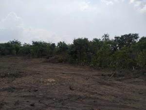 Mixed use Land For Sale Prime Swiss Estate Located At Iseyo Via Epe Ijebu Ode Road, Epe Lagos Mixed use Land For Sale Prime Swiss Estate Located At Iseyo Via Epe Ijebu Ode Road, Epe Lagos