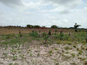 Residential Land For Sale Suncity Phase 1 Located At Ode Omi Close To The Dangote Refinery La Campaigne Tropicana Ibeju-Lekki Lagos