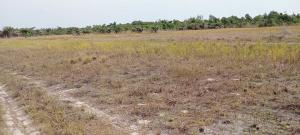 Residential Land For Sale Suncity Phase 1 Extention Located At Ode Omi Via La Campaigne Tropicana Ibeju-Lekki Lagos